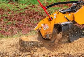 Best Tree Mulching  in Rancho Cumonga, CA